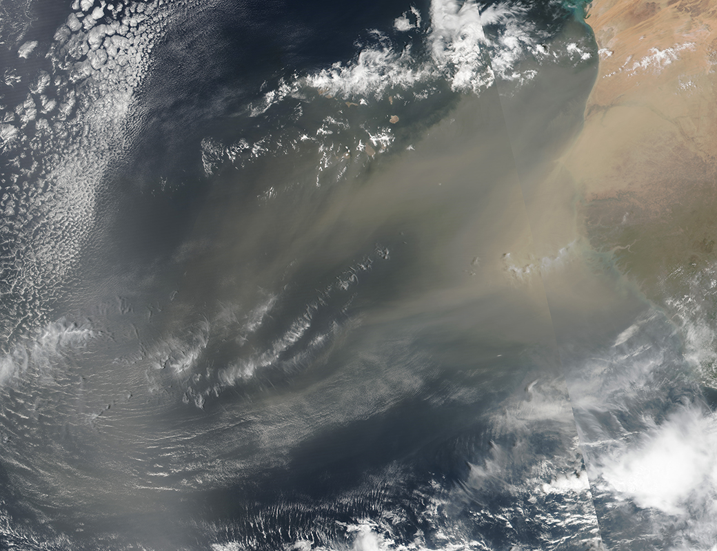 smog, miliardi di virus in forma di aerosol stanno viaggiando per la terra in questo istante