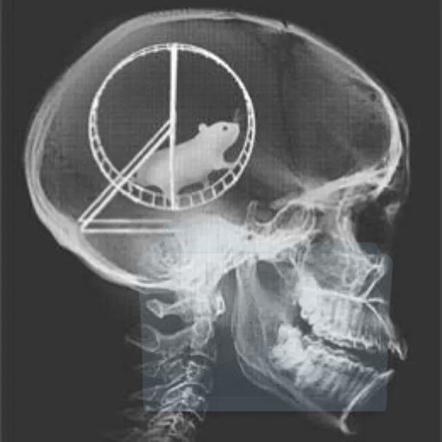 cervicriceto